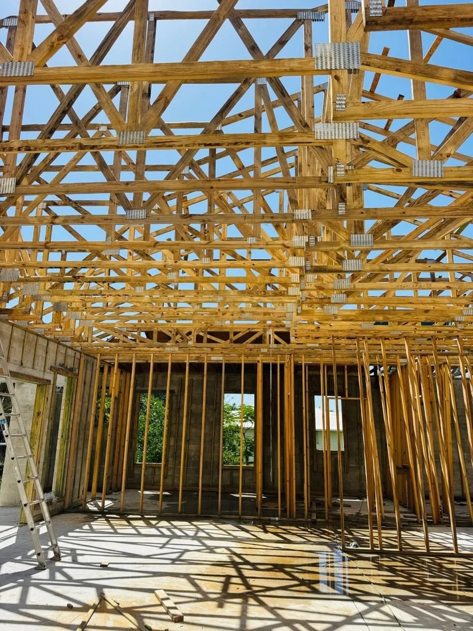 15668 Havana Cir, fotografía 4